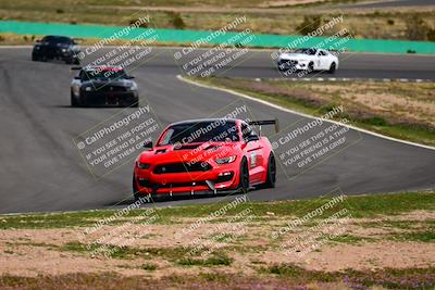 media/Feb-25-2024-Speed Ventures (Sun) [[b9a2a97a4d]]/Mustang Drivers Club/Session 3 (Turn 2)/